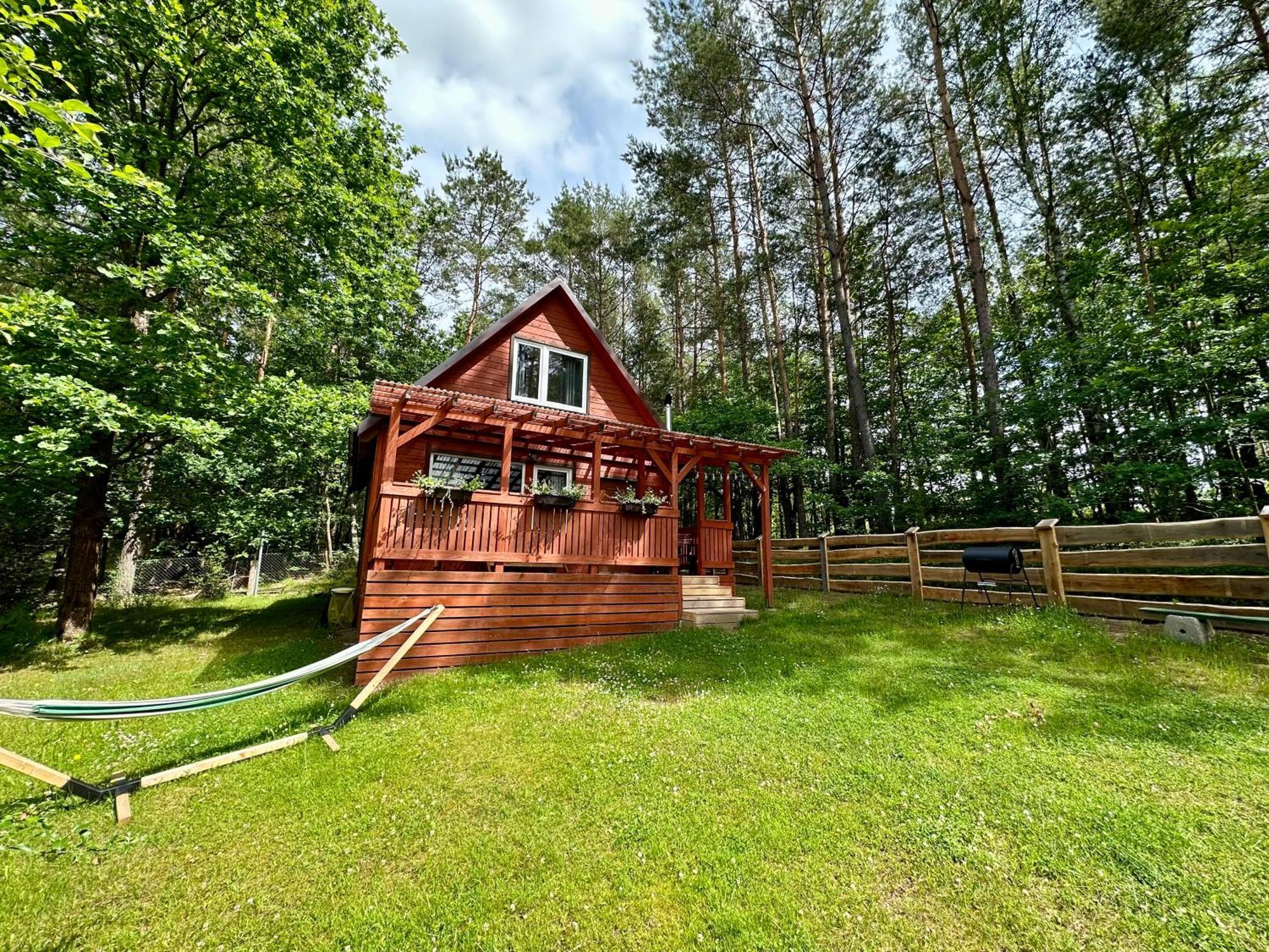 Villa Gryfne Kaszuby à Kamienica Krolewska Extérieur photo